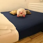 Felikshouse